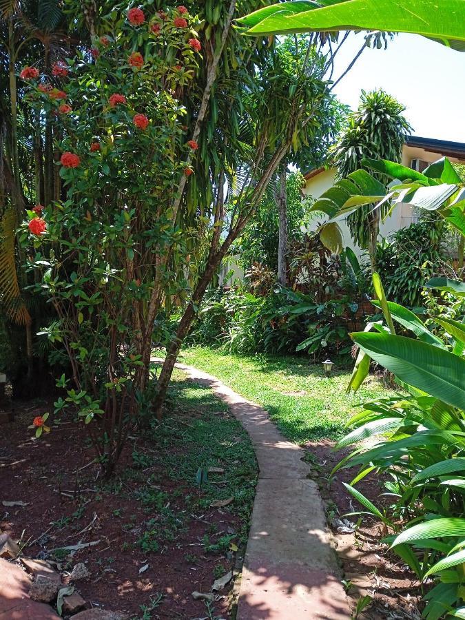 Garden Stone Hostel Пуерто Игуасу Екстериор снимка